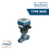 Burkert-Insertion flowmeter-batch controller with paddle wheel and flow transmitter-remote batch controller