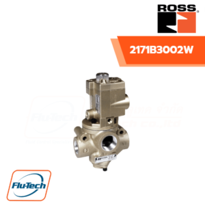 ROSS-2171B3002W