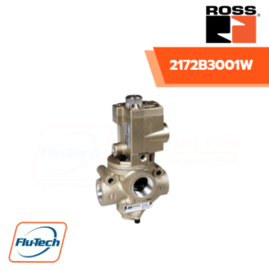 ROSS-2172B3001W