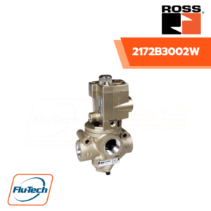 ROSS-2172B3002W