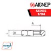 AIGNEP - SERIES 1704 - NUT