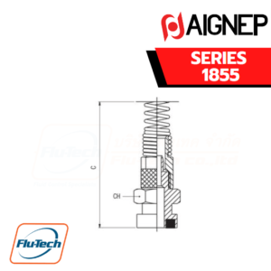 AIGNEP - SERIES 1855 -STRAIGHT FITTING WITH BAYONET CONNECTION + NUT AND SPRING
