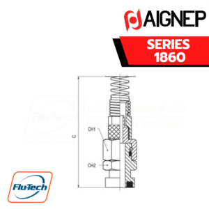 AIGNEP - SERIES 1860 -STRAIGHT FITTING WITH BAYONET CONNECTION + NUT AND SPRING
