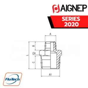 AIGNEP - SERIES 2020 - REDUCING NIPPLE (TAPER)
