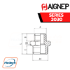 AIGNEP - SERIES 2030 - REDUCING NIPPLE (PARALLEL)