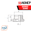 AIGNEP - SERIES 2090 - REDUCER (PARALLEL)