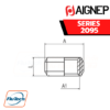 AIGNEP - SERIES 2095 - REDUCER (PARALLEL)