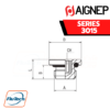 AIGNEP - SERIES 3015 - MALE PLUG (PARALLEL) WITH EXAGON EMBEDDED AND NBR O-RING