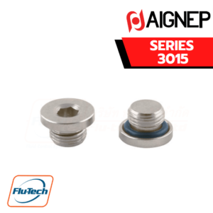 AIGNEP - SERIES 3015 - MALE PLUG (PARALLEL) WITH EXAGON EMBEDDED AND NBR O-RING