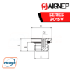 AIGNEP - SERIES 3015V - MALE PLUG (PARALLEL) WITH EXAGON EMBEDDED AND FKM O-RING