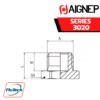 AIGNEP - SERIES 3020 - MALE PLUG (PARALLEL)