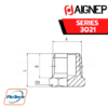 AIGNEP - SERIES 3021 - MALE PLUG (TAPER)