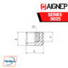 AIGNEP - SERIES 3025 - MALE PLUG (TAPER)