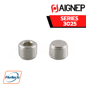 AIGNEP - SERIES 3025 - MALE PLUG (TAPER)