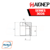 AIGNEP - SERIES 3026 - MALE PLUG (PARALLEL)