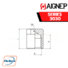 AIGNEP - SERIES 3030 - FEMALE PLUG-1