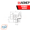 AIGNEP - SERIES 4050 - OFF SET MALE TEE-1