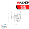 AIGNEP - SERIES 6020 - FEMALE EQUAL CROSS