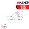 AIGNEP - SERIES 6035 - “Y” FILTER