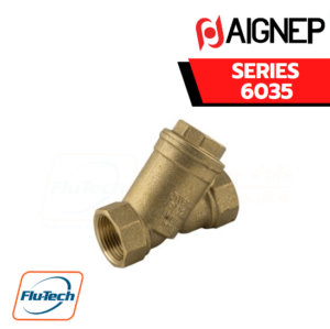 AIGNEP - SERIES 6035 - “Y” FILTER