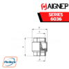 AIGNEP - SERIES 6036 - NON RETURN VALVE