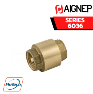 AIGNEP - SERIES 6036 - NON RETURN VALVE