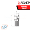 AIGNEP - SERIES 6037 - FINAL VALVE