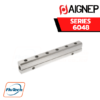 AIGNEP - SERIES 6048 - ALUMINIUM DOUBLE DISTRIBUTION MANIFOLD