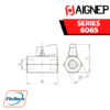 AIGNEP - SERIES 6065 MINI BALL VALVE FEMALE G ISO 228 - FEMALE G ISO 228