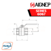 AIGNEP - SERIES 6067 BALL VALVE, FEMALE G ISO 228 - FEMALE G ISO 228