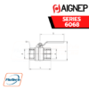 AIGNEP - SERIES 6068 - GAS BALL VALVE, FEMALE RP ISO7 - FEMALE RP ISO7