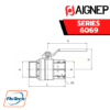 AIGNEP - SERIES 6069 - BALL VALVE MALE GA ISO 228 - FEMALE G ISO 228