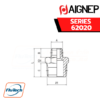 AIGNEP - SERIES 62020 REDUCING NIPPLE (TAPER)