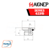 AIGNEP - SERIES 62315 MALE PLUG (PARALLEL) WITH EXAGON EMBEDDED