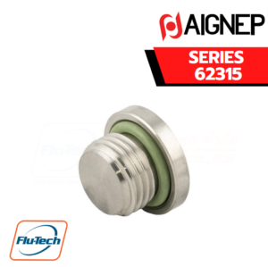 AIGNEP - SERIES 62315 MALE PLUG (PARALLEL) WITH EXAGON EMBEDDED