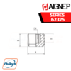 AIGNEP - SERIES 62325 MALE PLUG (TAPER) DIN 906-1