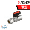 AIGNEP - SERIES 6340 - TUBE - FEMALE RP ISO 7 VALVE