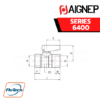 AIGNEP - SERIES 6400 - FEMALE G ISO 228 - FEMALE G ISO 228 VALVE