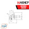 AIGNEP - SERIES 6540 - ELBOW PARALLEL MALE GA ISO 228-TAPER MALE R ISO 7 VALVE