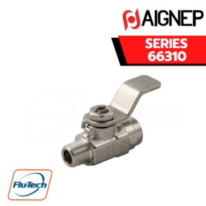 AIGNEP - SERIES 66310 - TAPER MALE R ISO 7 - FEMALE RP ISO 7 VALVE