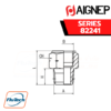 AIGNEP - SERIES 82241 - ADAPTER FEMALE BSP - MALE NPTF