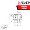 AIGNEP - SERIES 82242 - ADAPTER FEMALE NPTF - MALE G THREAD