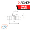 AIGNEP - SERIES 86300 - NPTF FEMALE - NPTF FEMALE VALVE