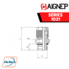 Aignep - 1021 -STRAIGHT MALE ADAPTOR WITH METRIC THREAD