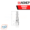 Aignep - 1025 -STRAIGHT MALE ADAPTOR (TAPER) + NUT WITH SPRING