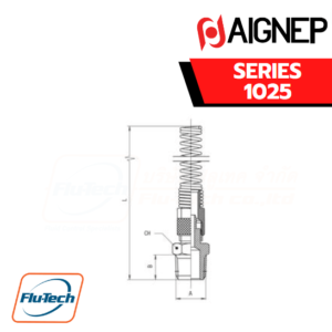 Aignep - 1025 -STRAIGHT MALE ADAPTOR (TAPER) + NUT WITH SPRING