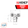 Aignep - 1210 -ORIENTING TEE MALE ADAPTOR (TAPER) - CENTRE LEG