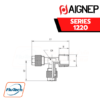 Aignep - 1220 -TEE MALE ADAPTOR (TAPER) - OFF SET LEG