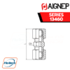 Aignep - 13460 -STRAIGHT CONNECTOR