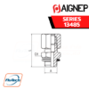 Aignep - 13485 -STRAIGHT MALE ADAPTOR (PARALLEL)